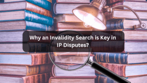 Invalidity Search