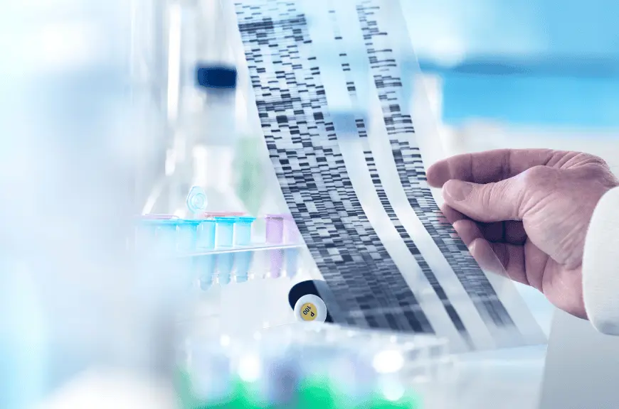 Biological Sequence Searches