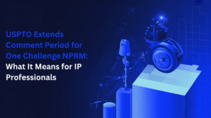 Intellectual Property Services