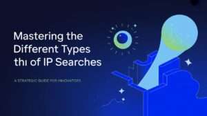 Types of IP Searches
