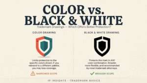 Color vs. Black and White Trademark Drawings