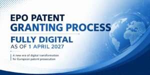 Patent granting process