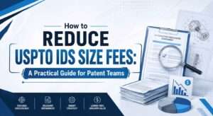 USPTO IDS Size Fees
